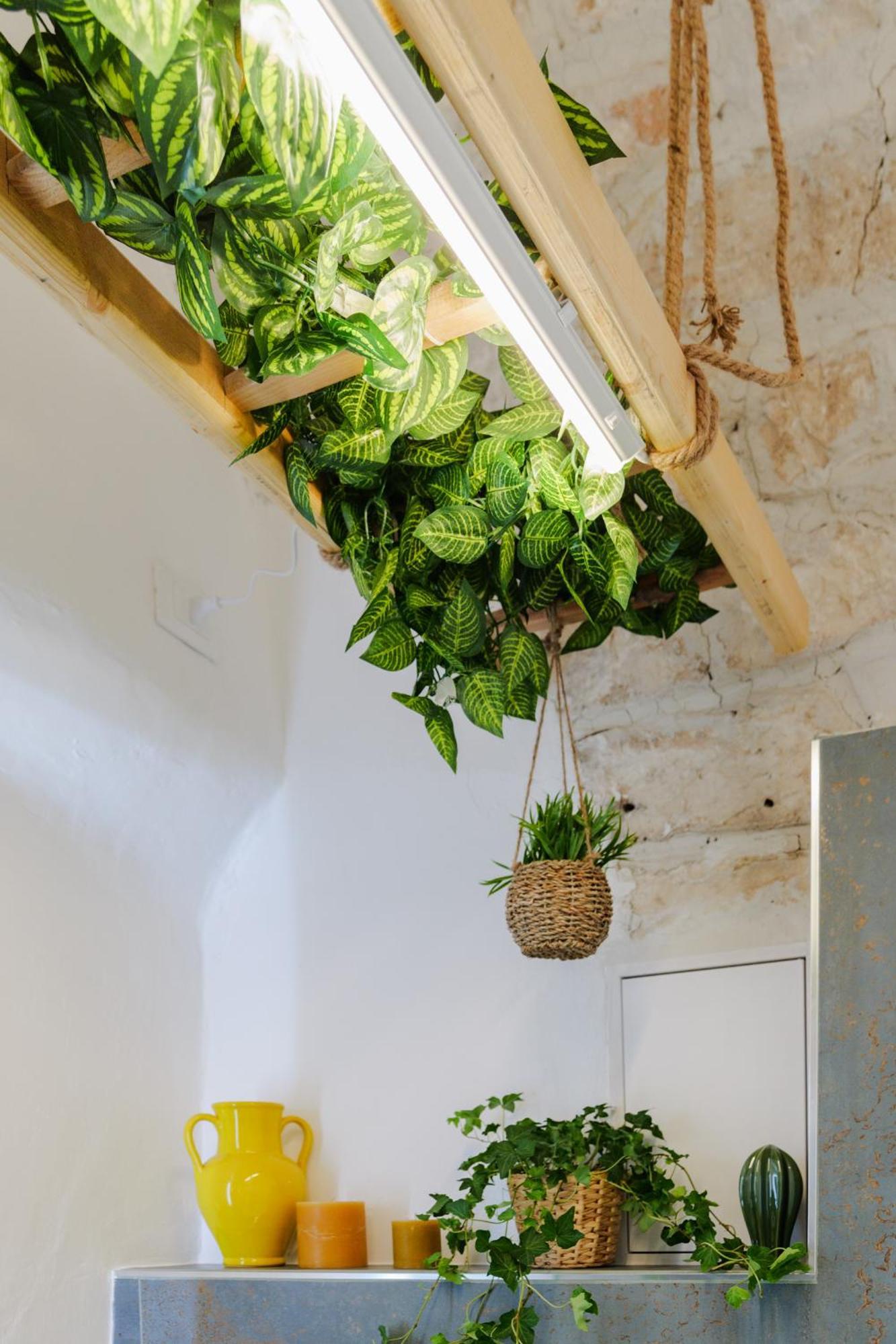 Dimora Lavinia Casa Vacanze Centro Storico Ostuni Luaran gambar